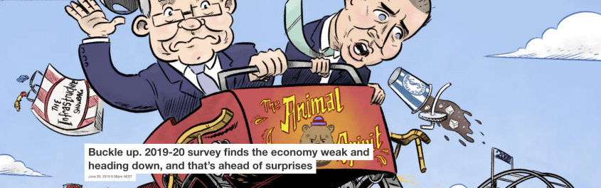 Screenshot_2019-07-01 Buckle up 2019-20 survey finds the economy weak and heading down, and that's ahead of surprises.png