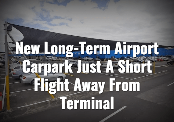 Screenshot_2019-07-17 Business – The Shovel.png