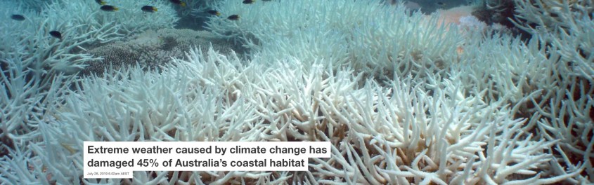 Screenshot_2019-07-26 Extreme weather caused by climate change has damaged 45% of Australia's coastal habitat.jpg