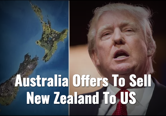 Screenshot_2019-08-23 The Nation – The Shovel.png