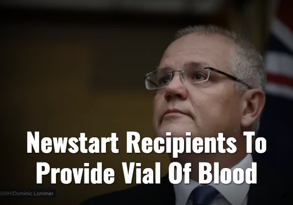 Screenshot_2019-09-11 The Nation – The Shovel.png