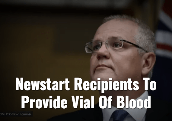 Screenshot_2019-09-11 The Nation – The Shovel.png