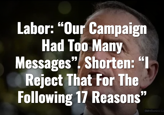 Screenshot_2019-11-09 The Shovel - Australia's satire news website.png