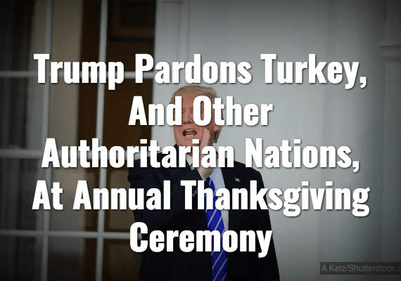 Screenshot_2019-11-28 World – The Shovel.png