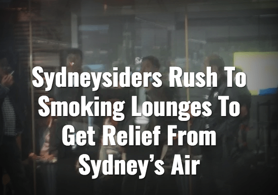 Screenshot_2019-12-11 The Nation – The Shovel.png