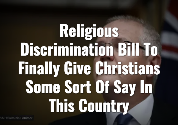 Screenshot_2019-12-16 The Shovel - Australia's satire news website.png