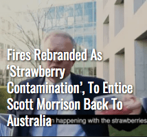 Screenshot_2019-12-22 The Shovel - Australia's satire news website.png