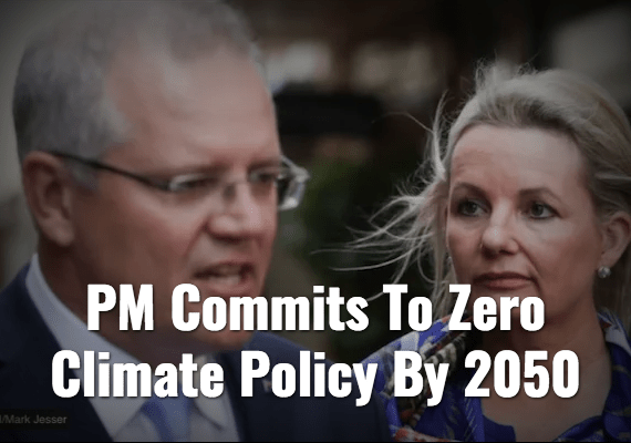 Screenshot_2020-02-29 The Nation – The Shovel.jpg