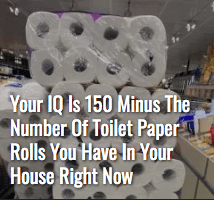 Screenshot_2020-03-06 Lifestyle – The Shovel.png