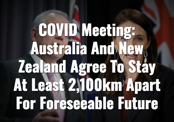 Screenshot_2020-05-06 The Nation – The Shovel.png