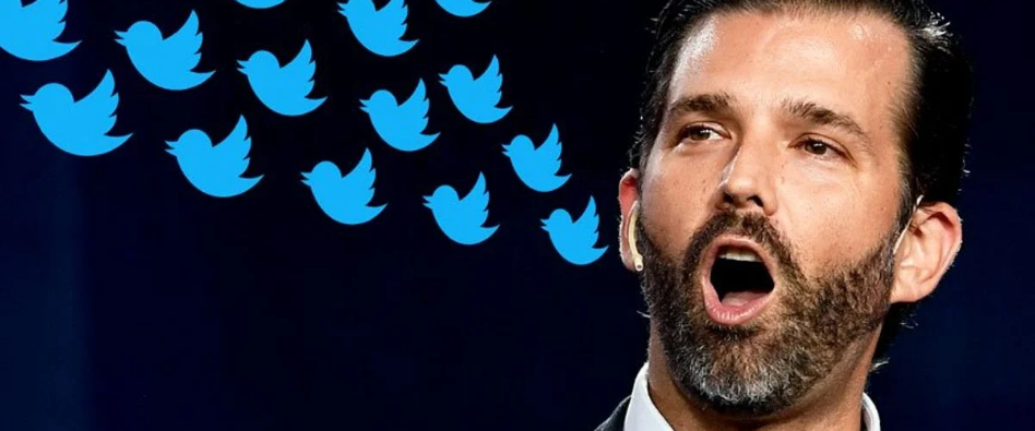 Screenshot_2020-06-03 Twitter shuts down white nationalist group posing as Antifa after Donald Trump Jr shares its tweet