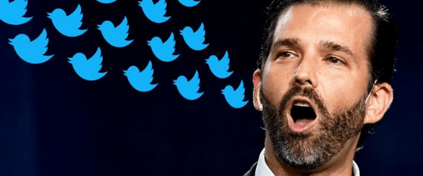 Screenshot_2020-06-03 Twitter shuts down white nationalist group posing as Antifa after Donald Trump Jr shares its tweet