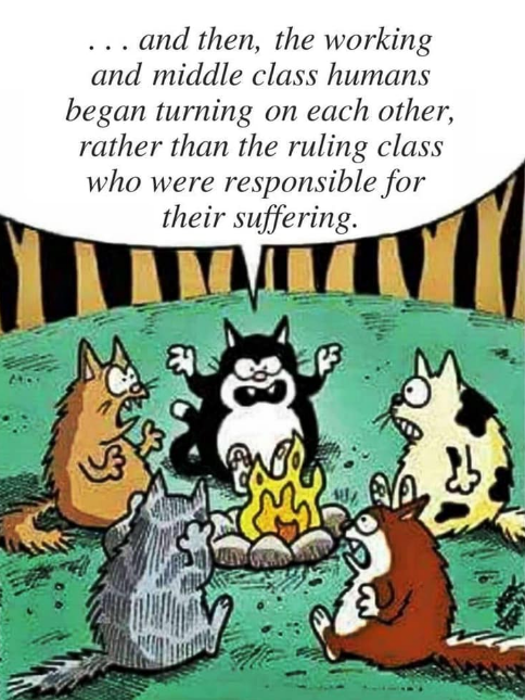 Screenshot_2020-07-05 Blogger Andrew Bolt Old Dog Thoughts - Edit post.png