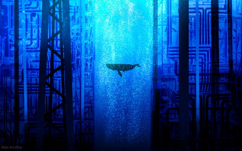 Marine noise pollution