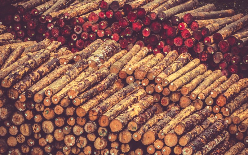 logging for woodchipping