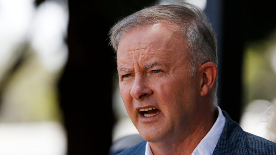 aged care covid albanese