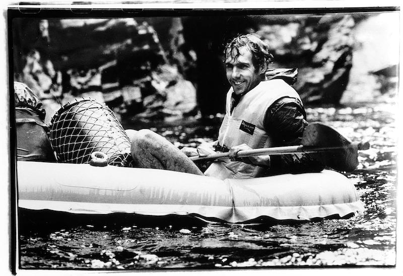Bob Brown, Australian Greens
