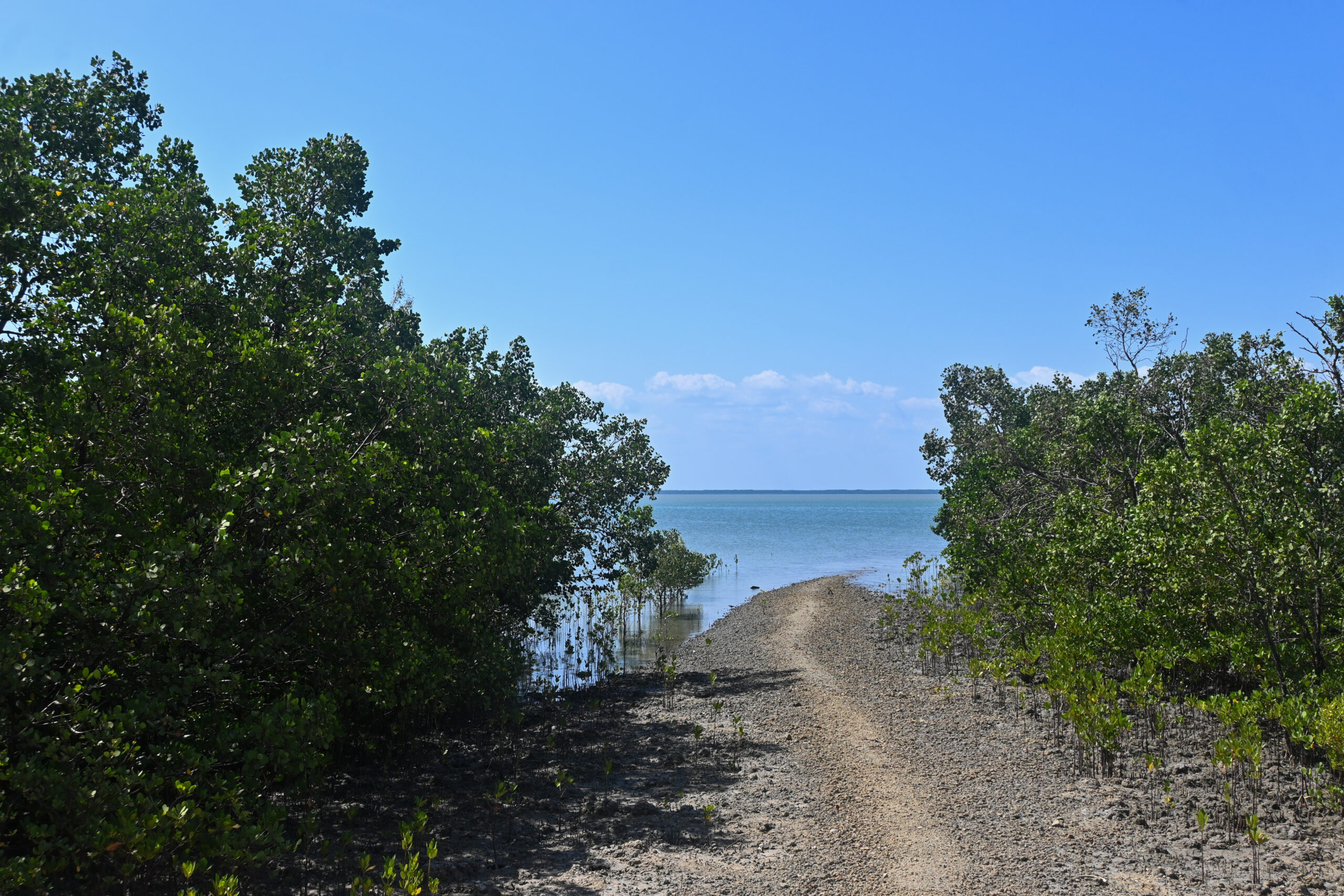 Flooded landscape of Boigu Island in the Torres Strait. Photo: Talei Elu