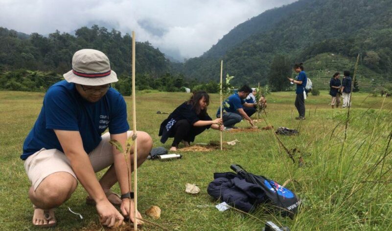 Planting trees in Indonesia[1]