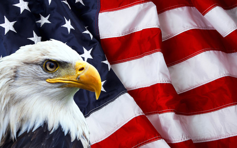 North American eagle on American flag.