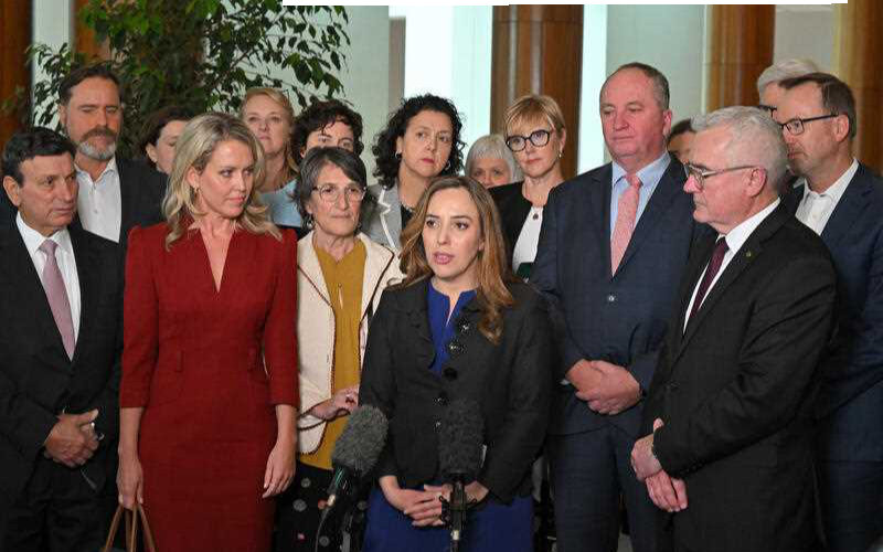 Julian Assange supporters