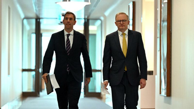 Jim Chalmers and Anthony Albanese