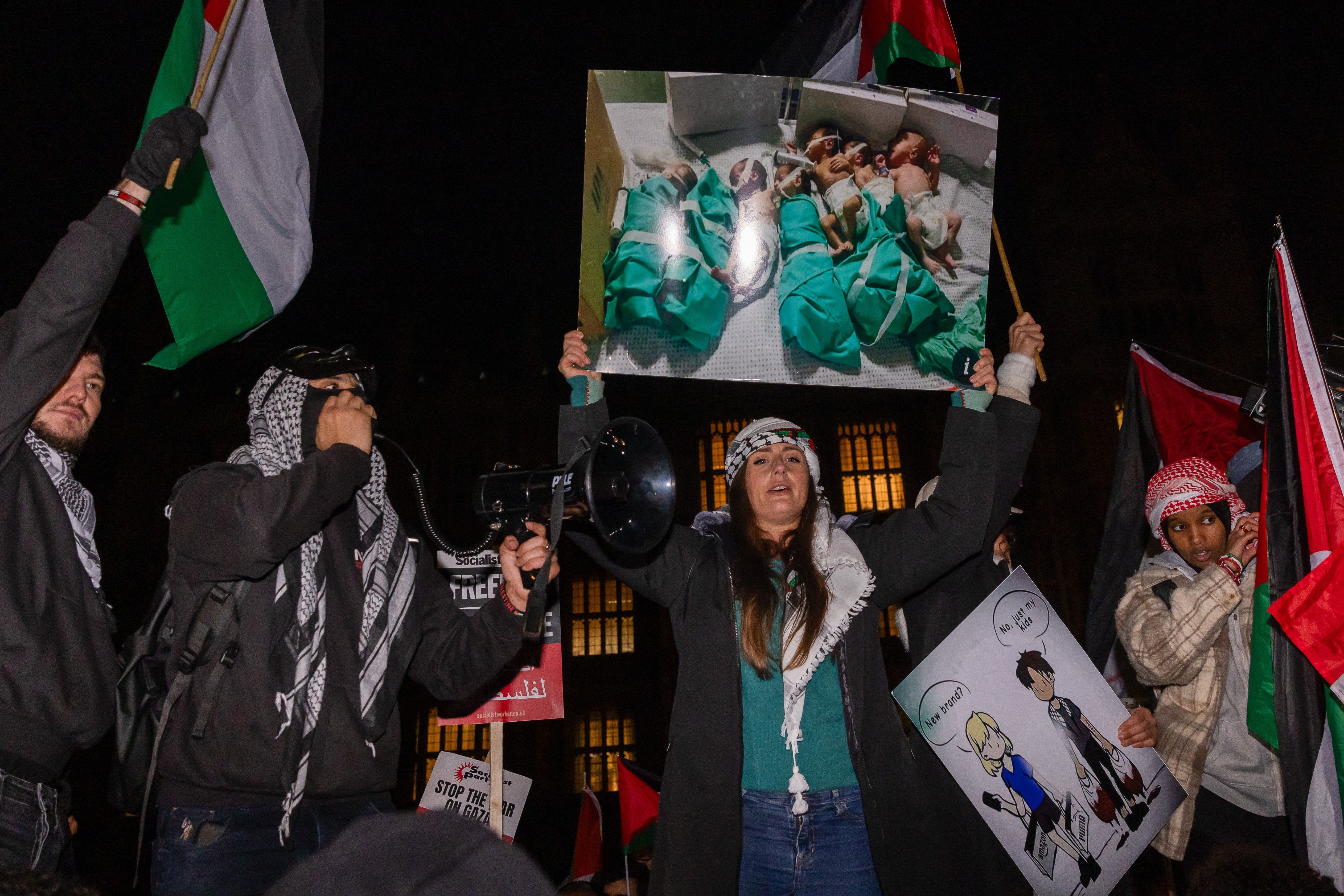 Pro-Palestinian protesters holding Palestinian flags 