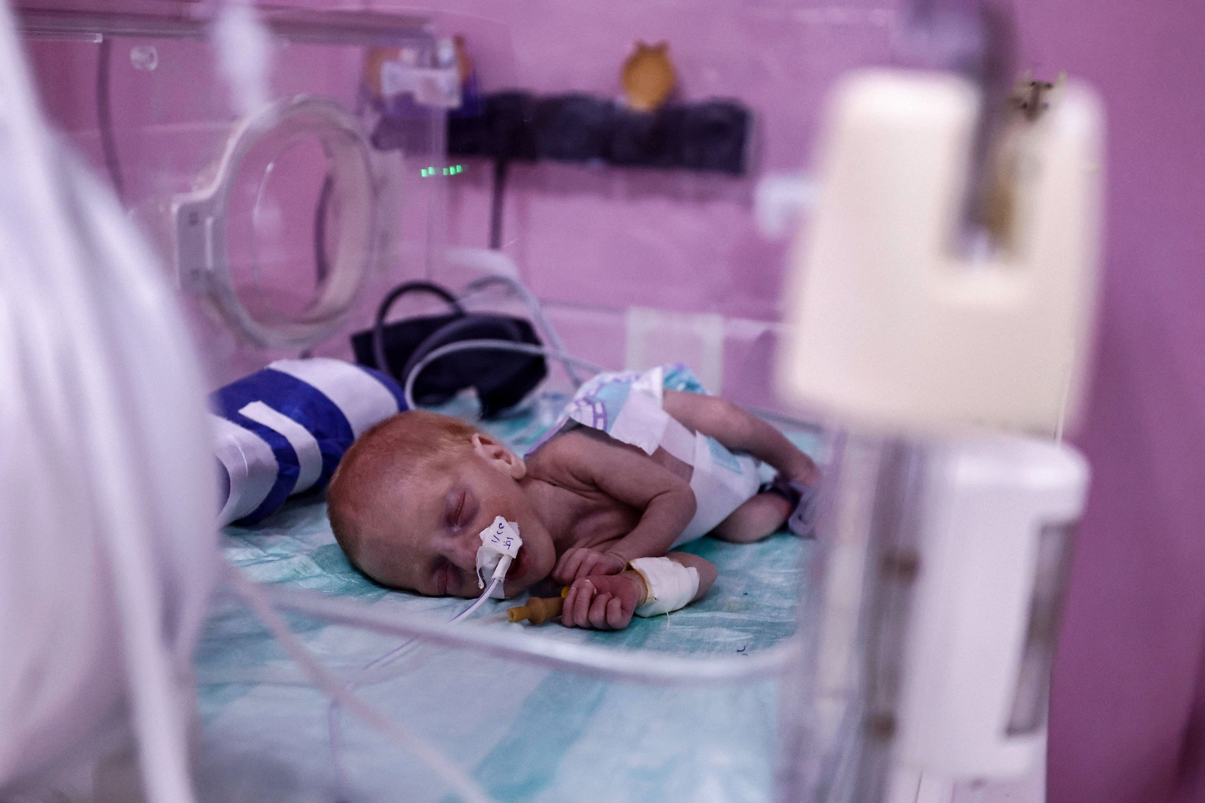 A premature Palestinian baby in an incubator