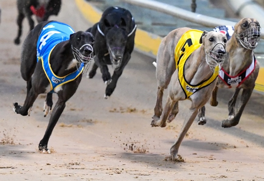 Gambling reform, sports betting