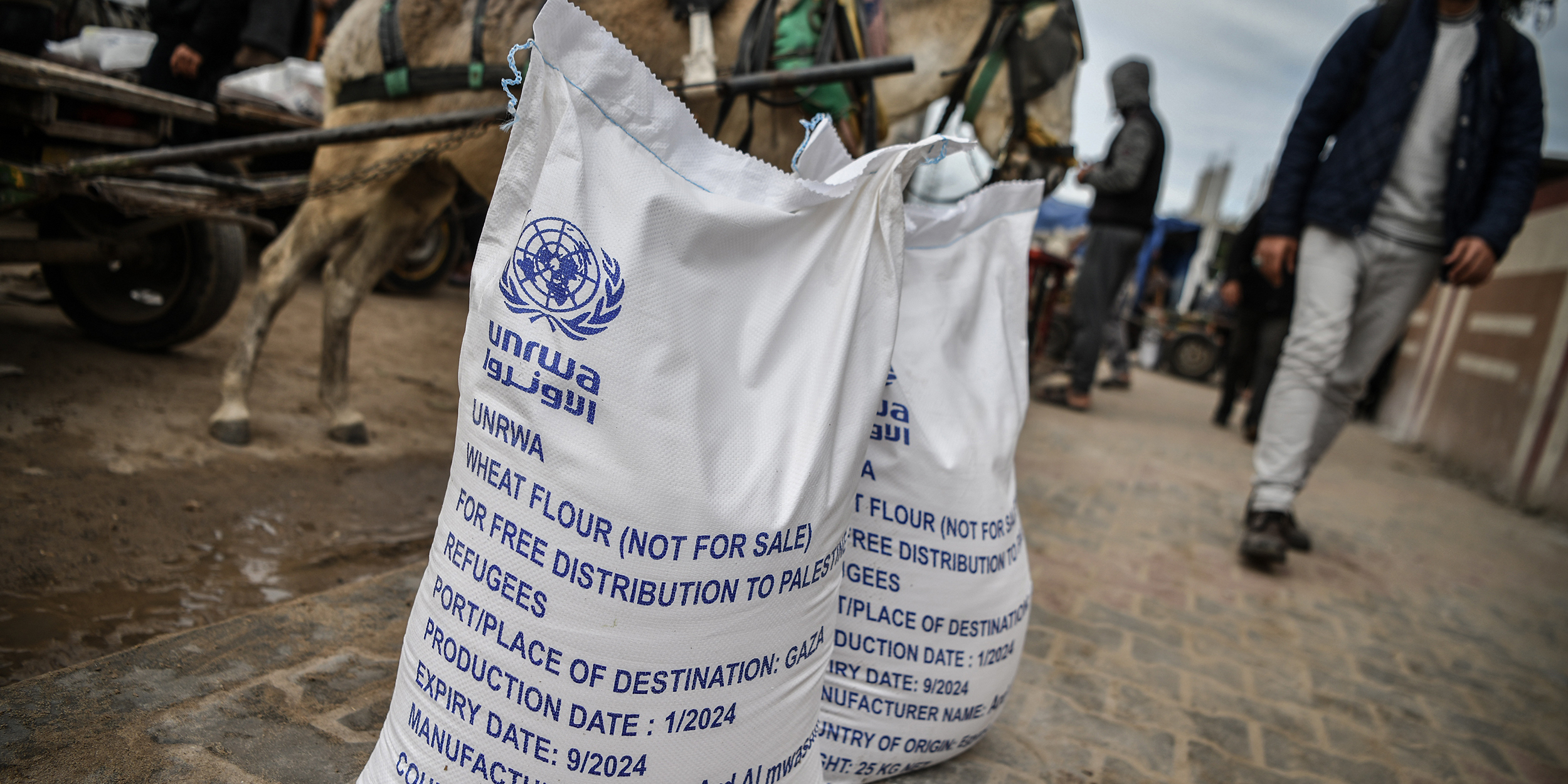 RAFAH, GAZA - JANUARY 28: Bags of flour are seen at the area where UNRWA (The United Nations Relief and Works Agency for Palestine Refugees) distributes flour to families as Israeli attacks continue in Rafah of Gaza on January 28, 2024. Palestinians face severe water and food shortages due to Israeli attacks and new restrictions. (Photo by Abed Zagout/Anadolu via Getty Images)